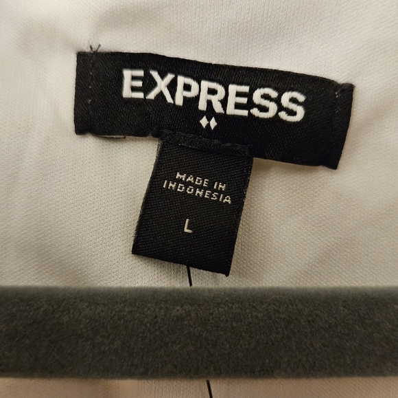 Express Dress - Picture 5 of 5